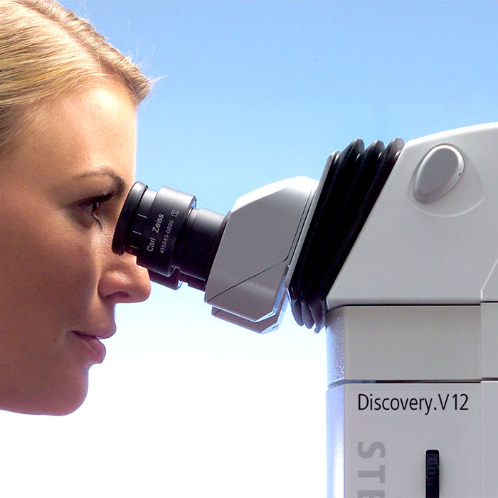 Discovery